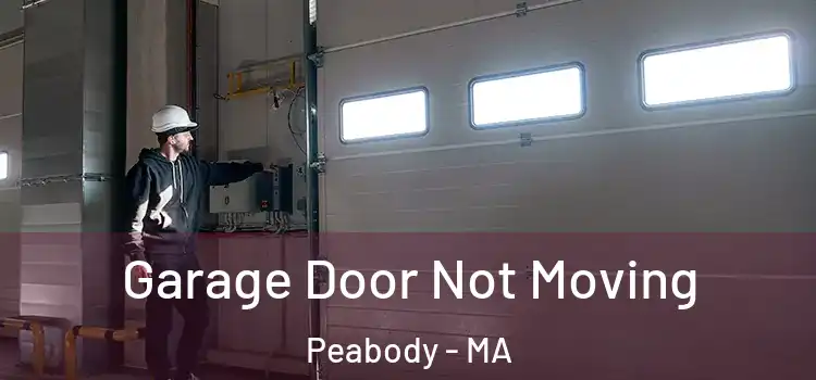  Garage Door Not Moving Peabody - MA